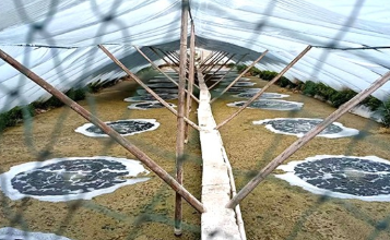 養殖增氧機：輕松應對夏季不同情況